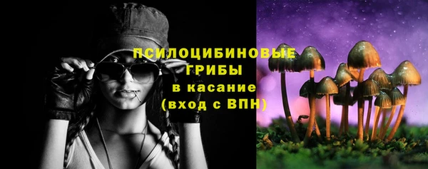MDMA Premium VHQ Богородицк