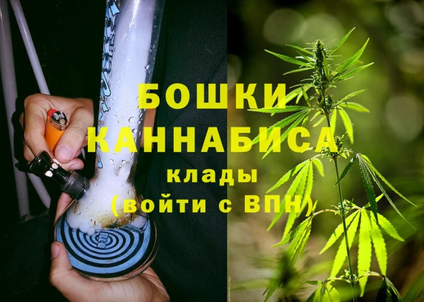 СК Богородск