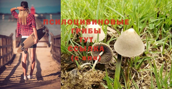 СК Богородск