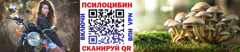 купить наркоту  Видное  Галлюциногенные грибы прущие грибы 